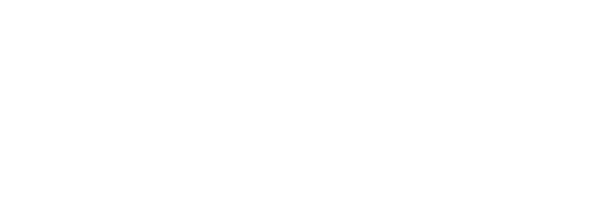 Soellaart Logo